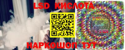 индика Пугачёв