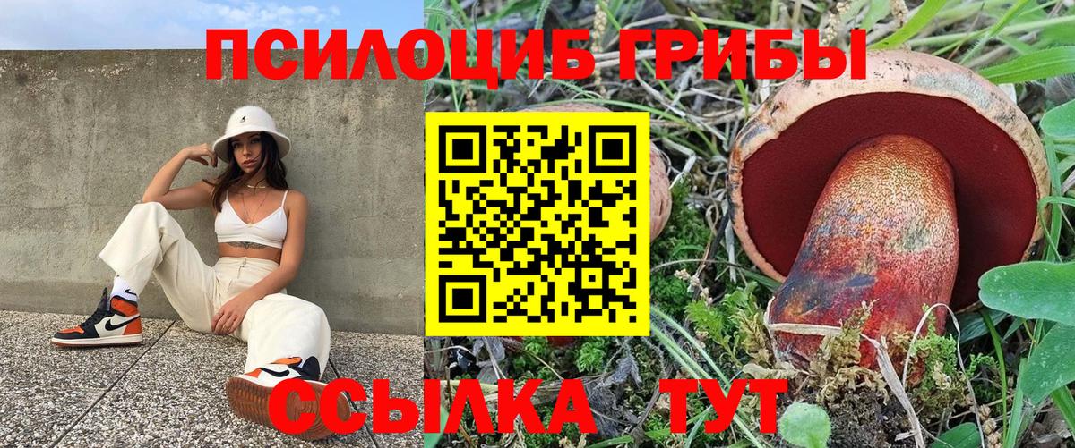 Псилоцибиновые грибы прущие грибы Свободный