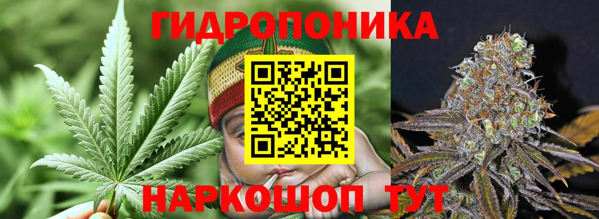 Свободный  Бошки марихуана THC 21%  Вход с VPN  Марихуана гибрид  Бошки марихуана планчик  Бошки Шишки Bruce Banner 